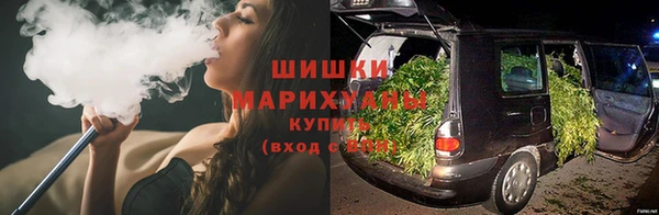 PSILOCYBIN Зерноград