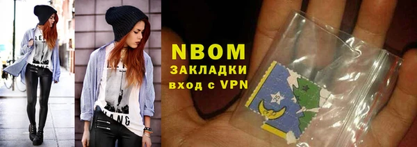 крисы Зеленокумск