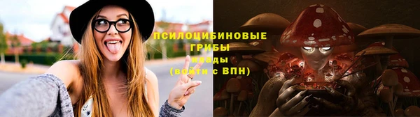 прущие крисы Зеленодольск