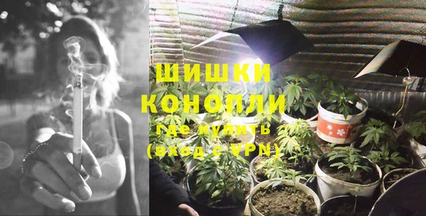 PSILOCYBIN Зерноград