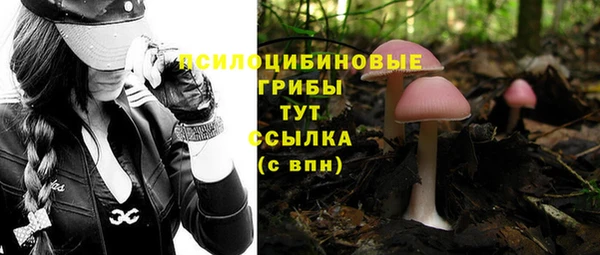крисы Зеленокумск