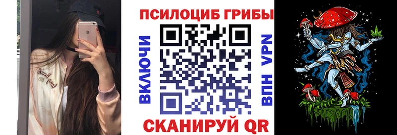 Галлюциногенные грибы Psilocybe Кандалакша