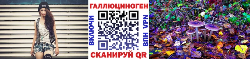 Псилоцибиновые грибы прущие грибы  наркошоп  Кандалакша 